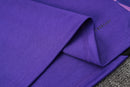 24/25 Conjunto Treino Alemanha - Frio Zíper Curto - Roxo Com Preto